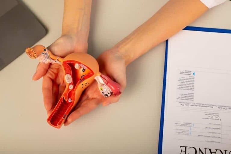 Uterine Artery Embolization for Fibroids: A Safe, Non-Surgical Solution